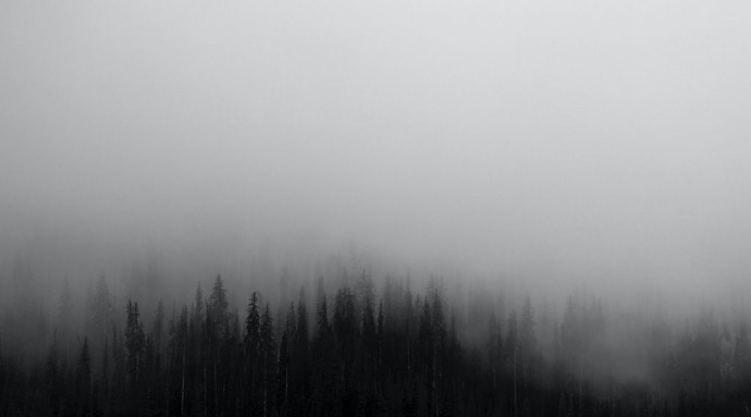 foggy image 